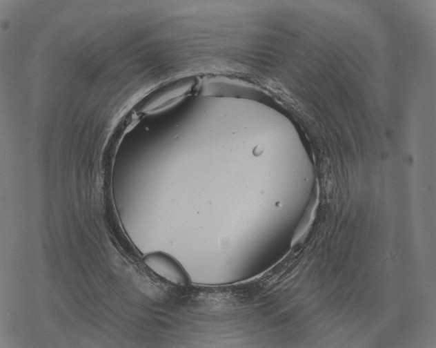 X0000076430440200610271737