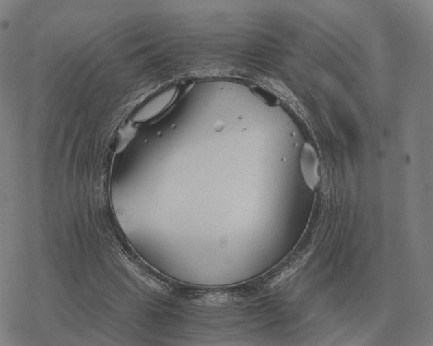 X0000076430441200610271737