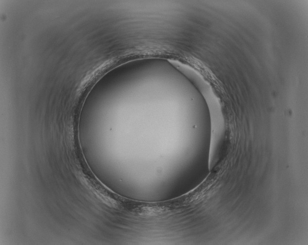 X0000076430442200610271737