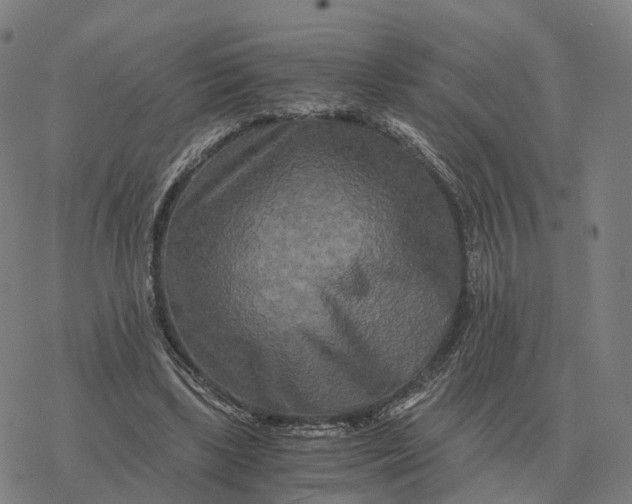 X0000076430443200610271737