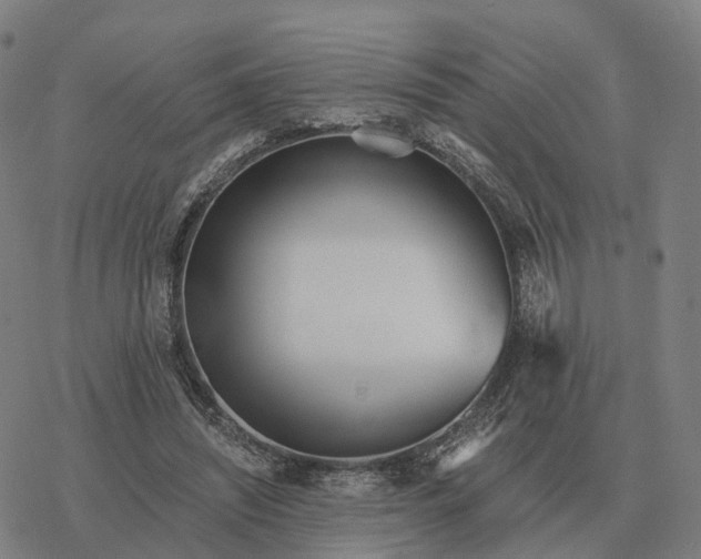 X0000076430444200610271737