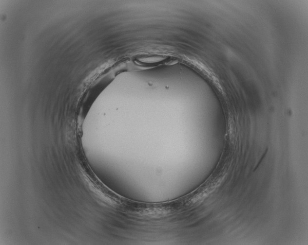 X0000076430445200610271737