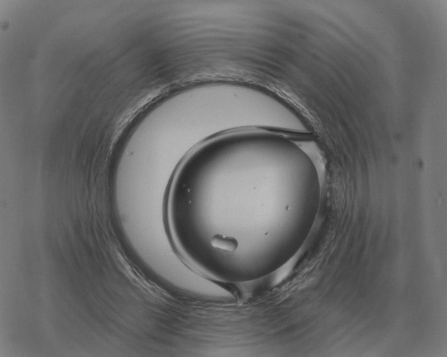 X0000076430446200610271737