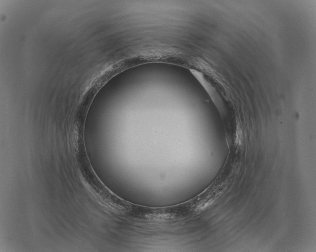 X0000076430448200610271737