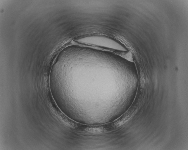 X0000076430449200610271737