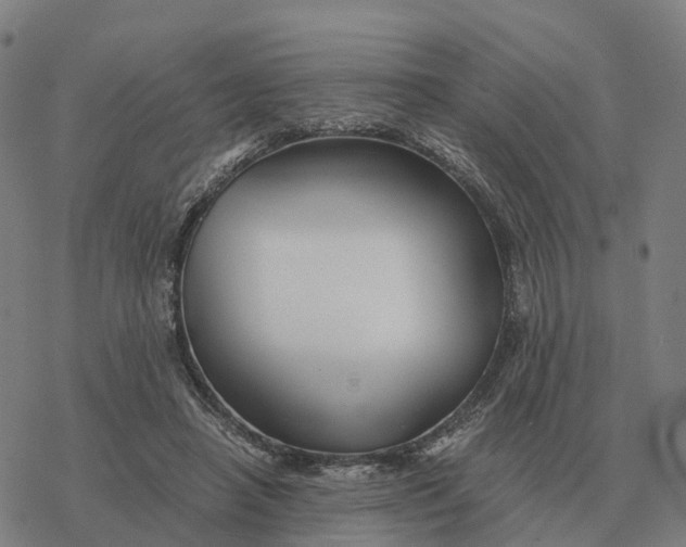 X0000076430450200610271737