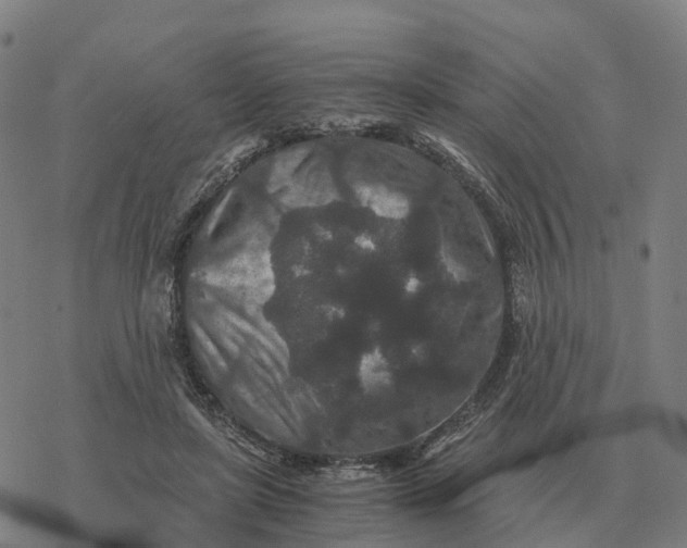 X0000076430451200610271737