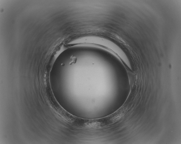 X0000076430452200610271737