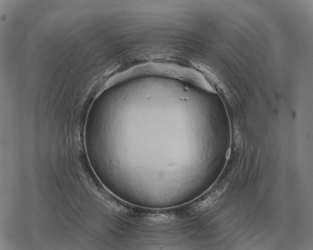 X0000076430453200610271737