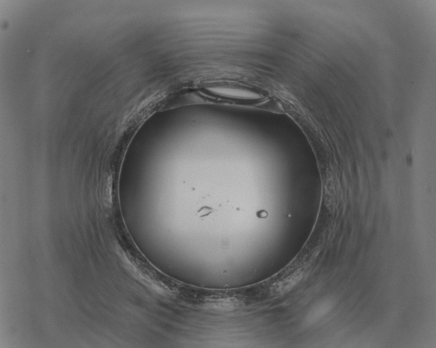 X0000076430454200610271737