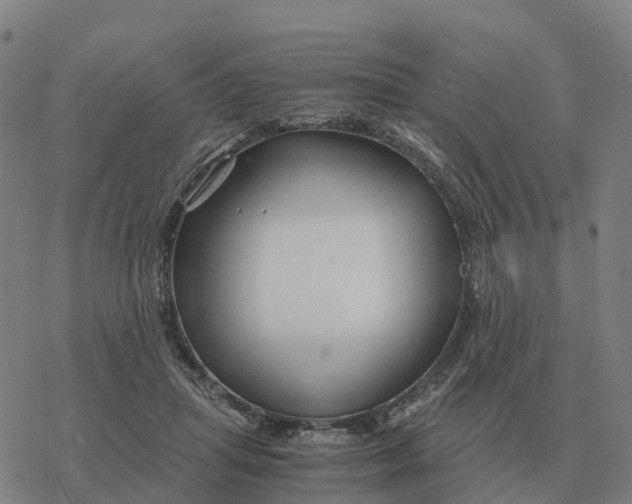 X0000076430455200610271737