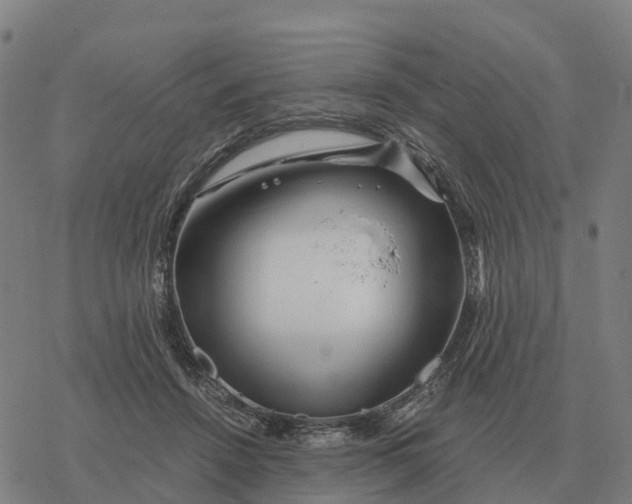 X0000076430456200610271737