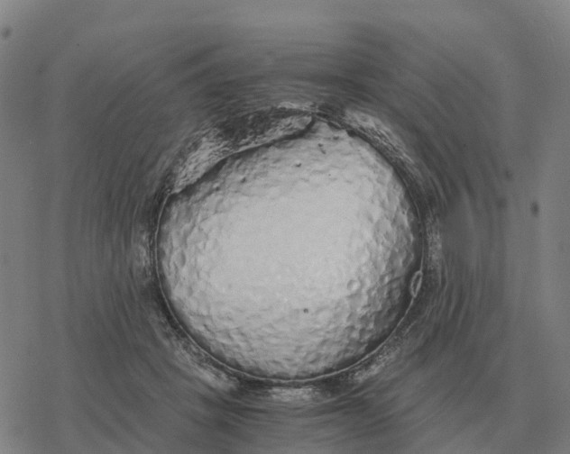 X0000076430457200610271737