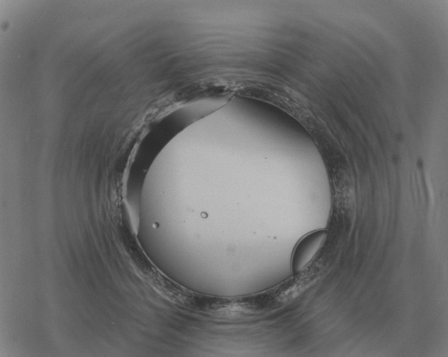 X0000076430460200610271737