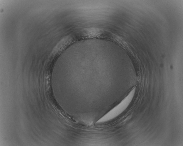 X0000076430462200610271737