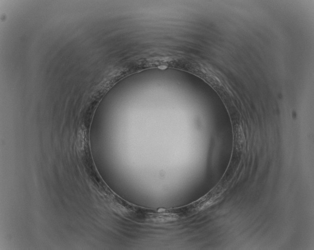 X0000076430463200610271737