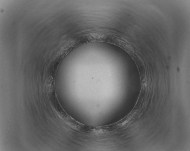 X0000076430464200610271737