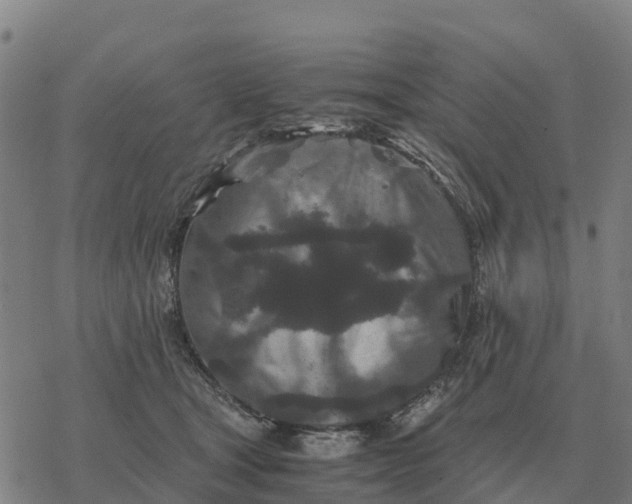 X0000076430465200610271737