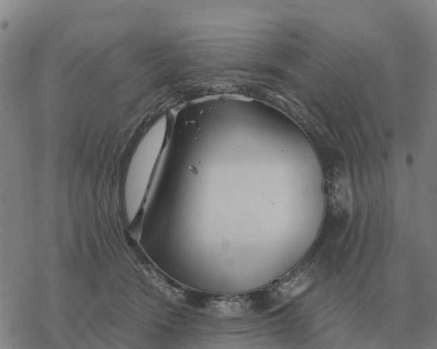 X0000076430466200610271738