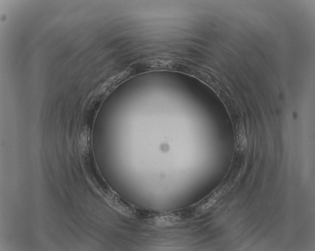 X0000076430468200610271738