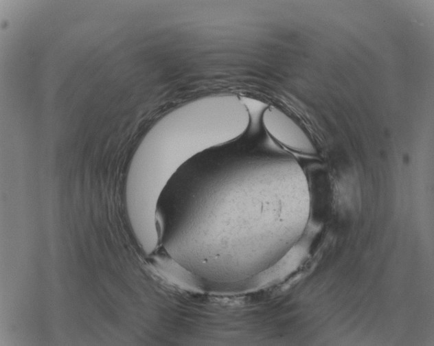 X0000076430469200610271738