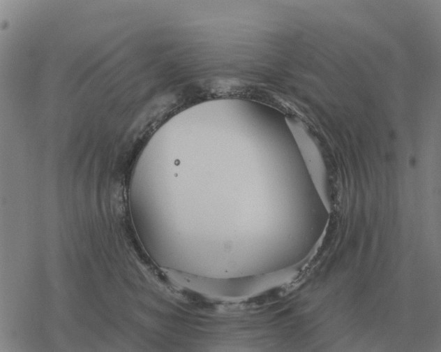 X0000076430470200610271738