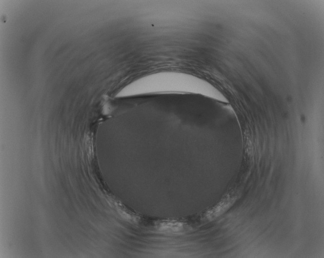 X0000076430471200610271738