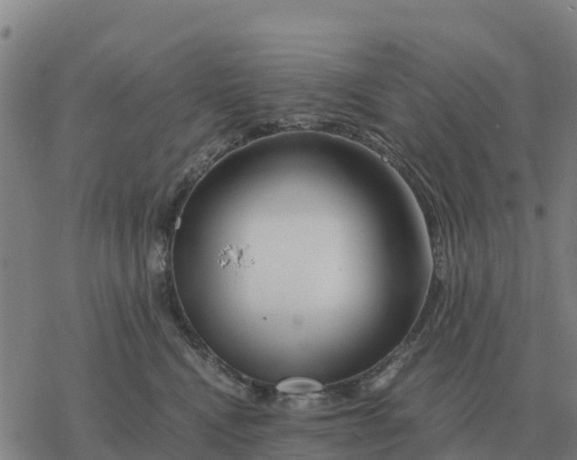 X0000076430472200610271738