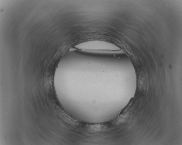 X0000076430473200610271738