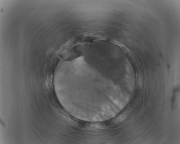 X0000076430475200610271738