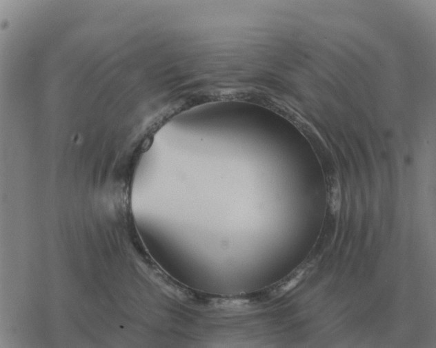 X0000076430476200610271738