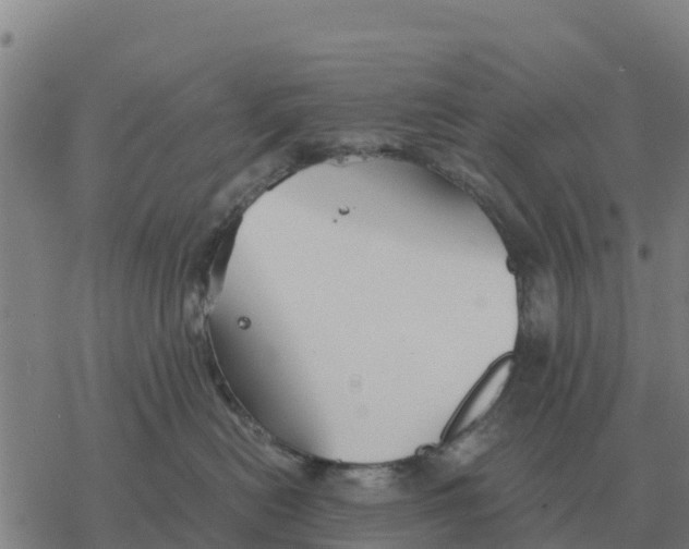 X0000076430478200610271738