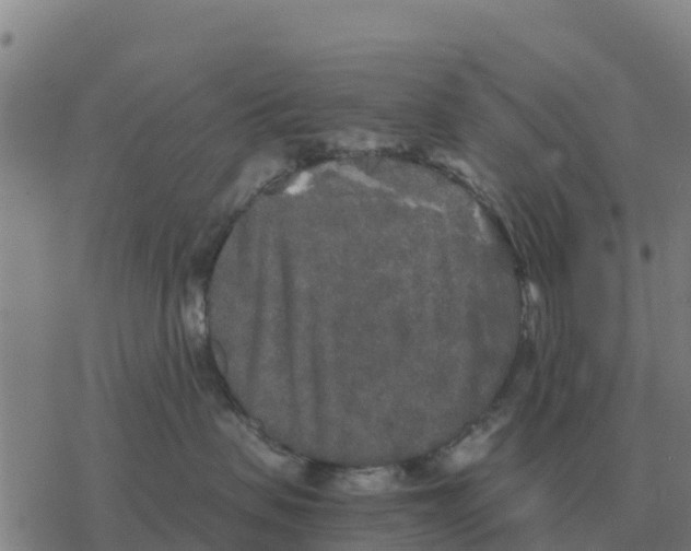 X0000076430479200610271738