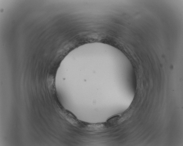 X0000076430480200610271738