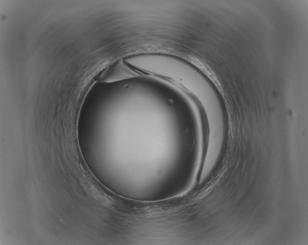 X0000076430481200610271737