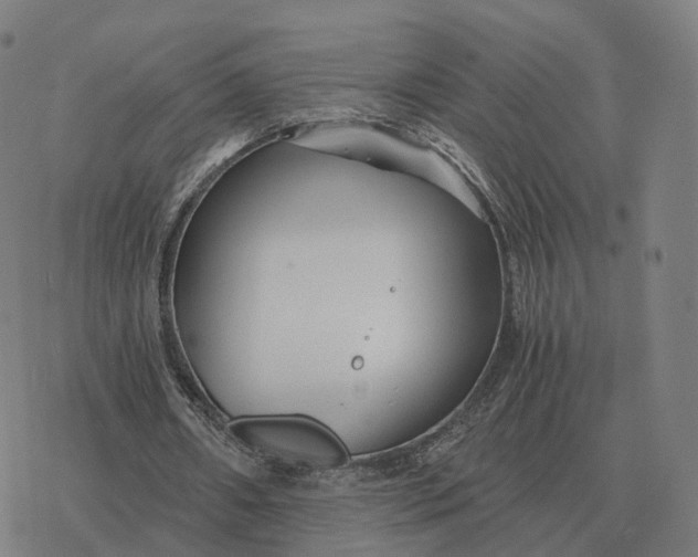 X0000076430482200610271737