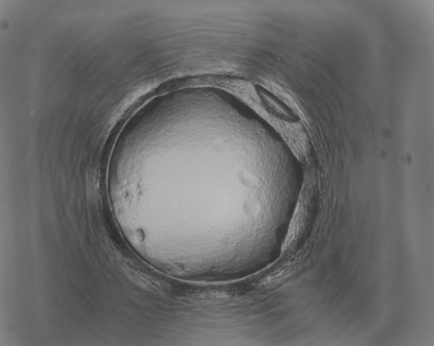 X0000076430483200610271737