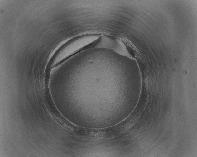 X0000076430484200610271737