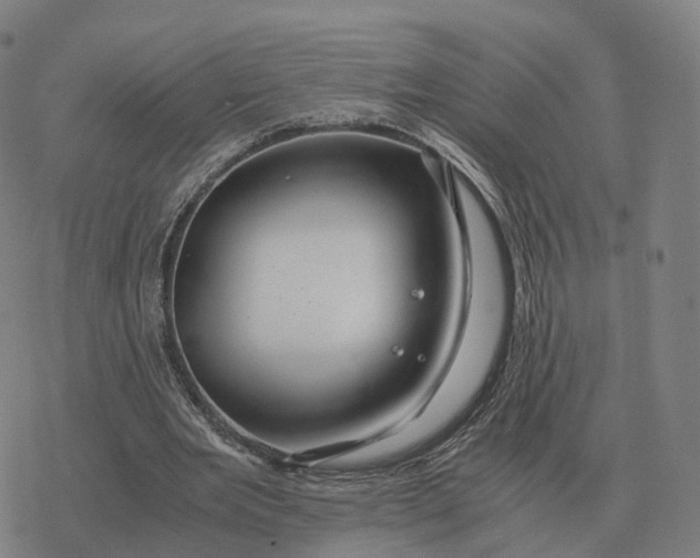 X0000076430485200610271737