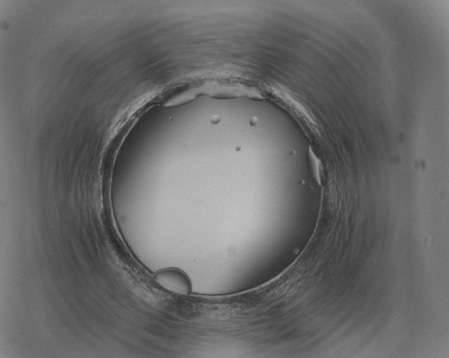 X0000076430486200610271737