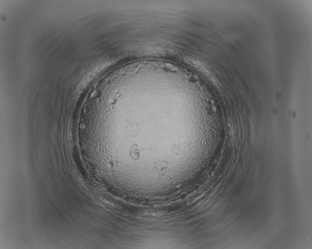 X0000076430487200610271737