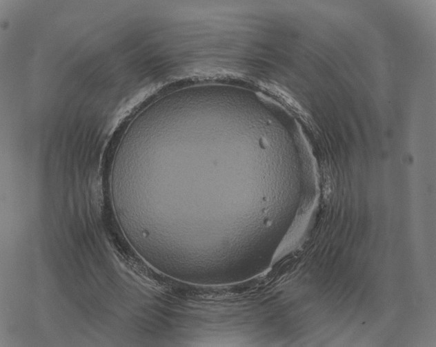 X0000076430488200610271737