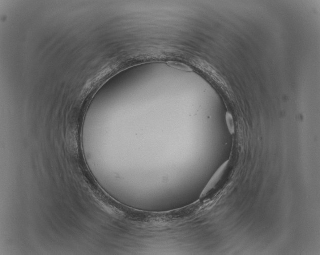 X0000076430489200610271737