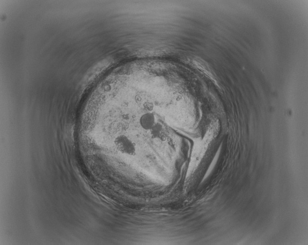 X0000076430491200610271737