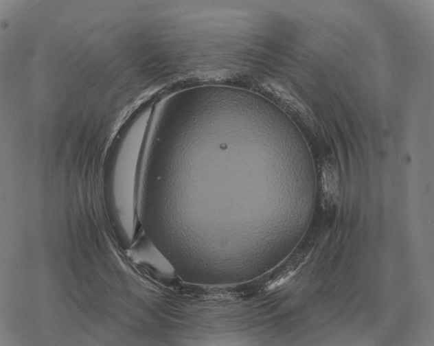 X0000076430492200610271737