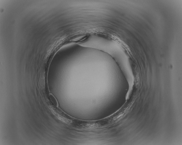 X0000076430493200610271737