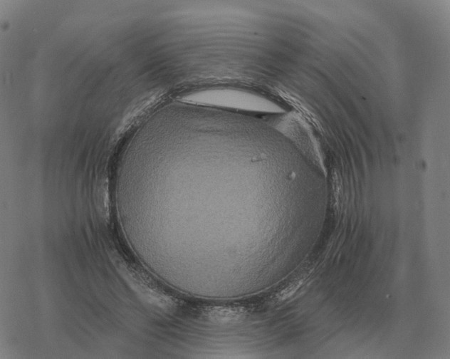 X0000076430494200610271737