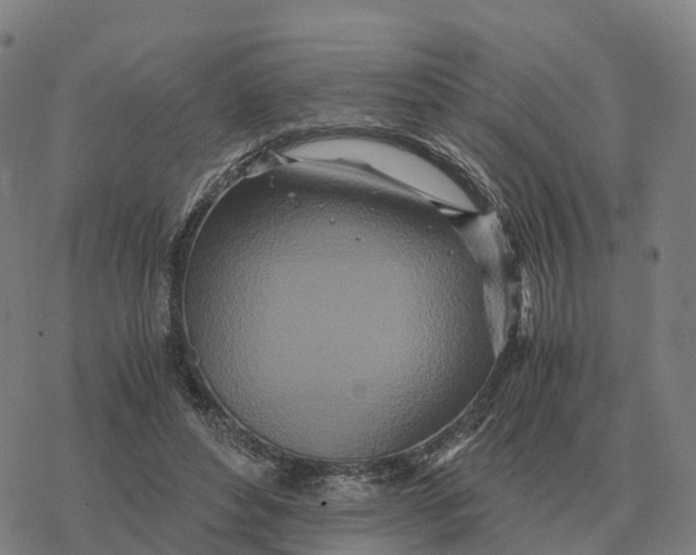 X0000076430496200610271737