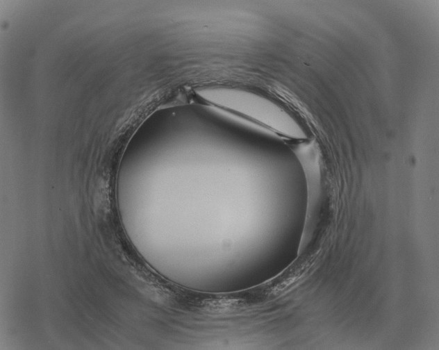 X0000076430497200610271737