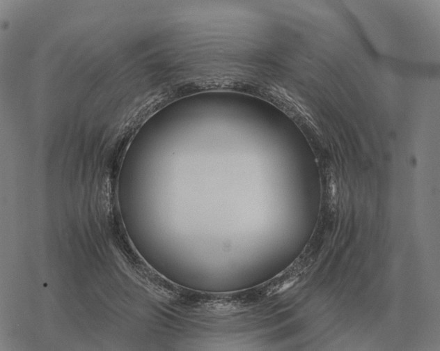 X0000076430498200610271737